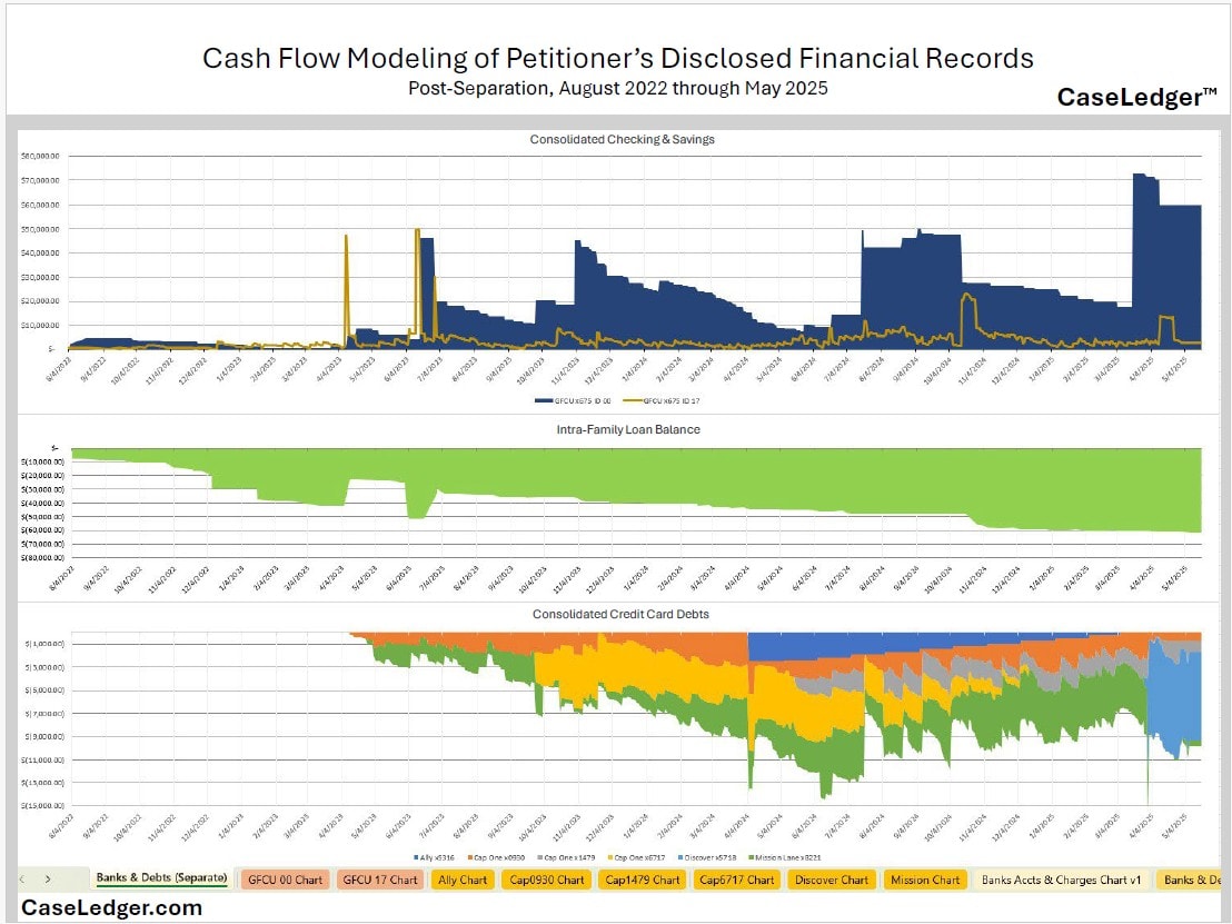 CaseLedger™ cash flow modeling output showing consolidated checking, savings, intra-family loan balance, and credit card debt charts over time